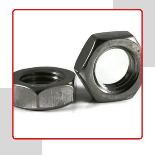 Stainless Steel 446 Heavy Hex Nuts in USA
