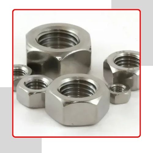 Stainless Steel 446 Hex Nuts in USA